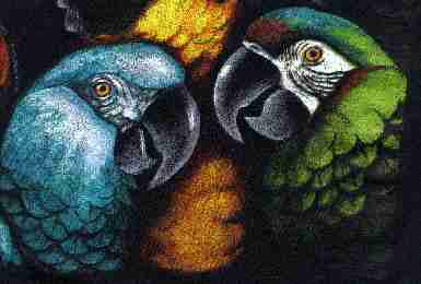 [parrots]